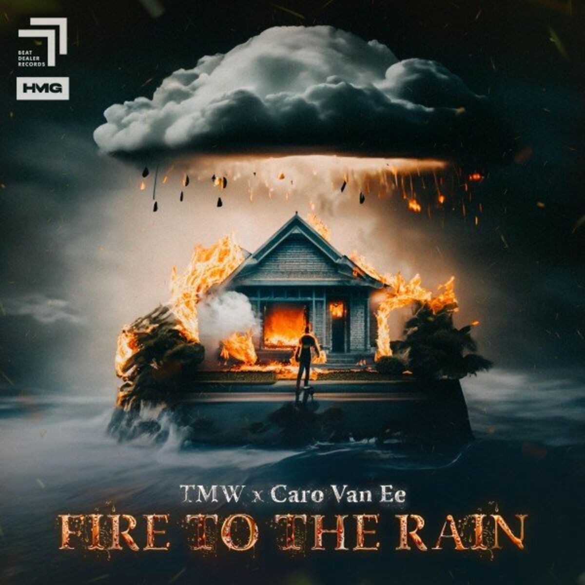 Album cover of Fire To The Rain