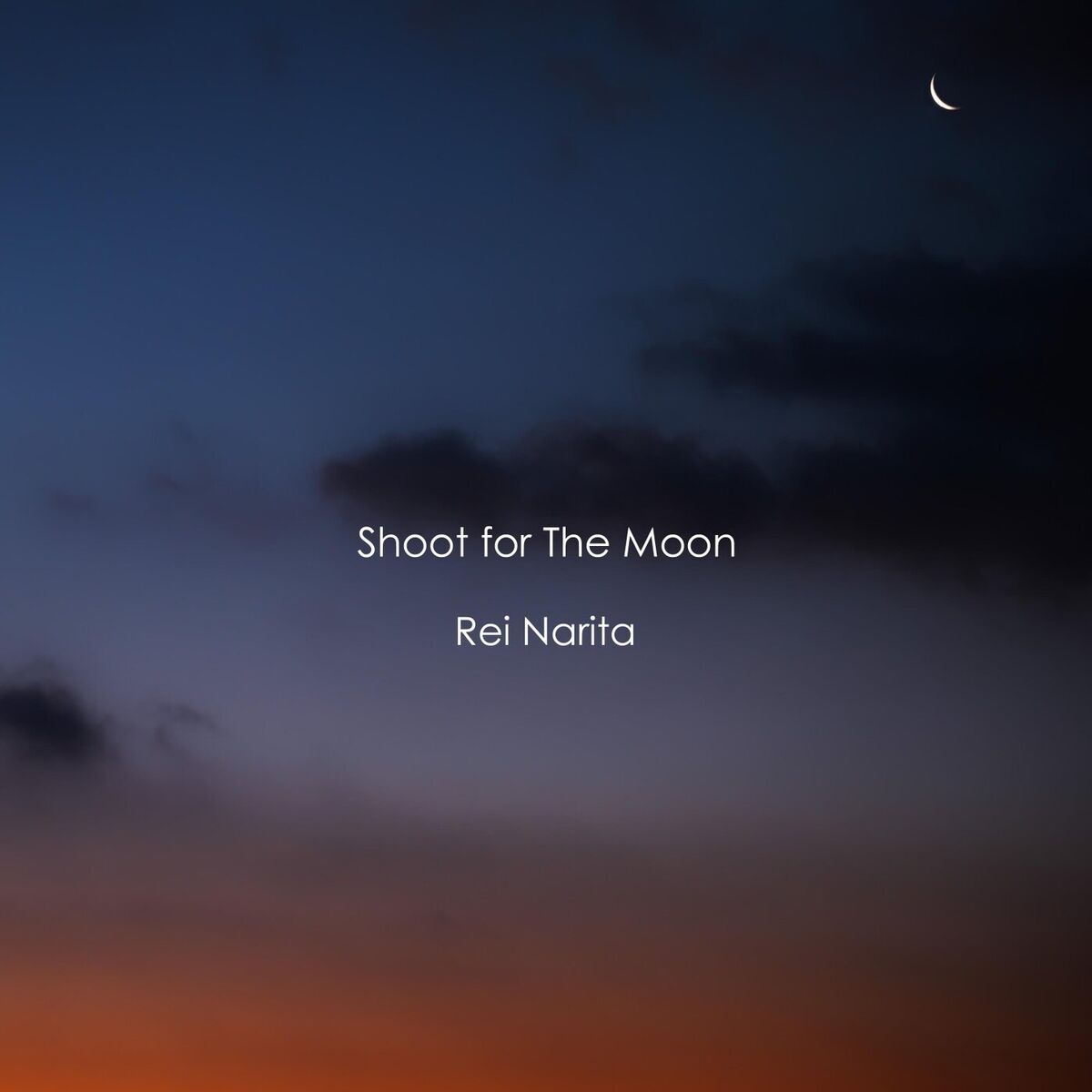 Album cover of Shoot for The Moon