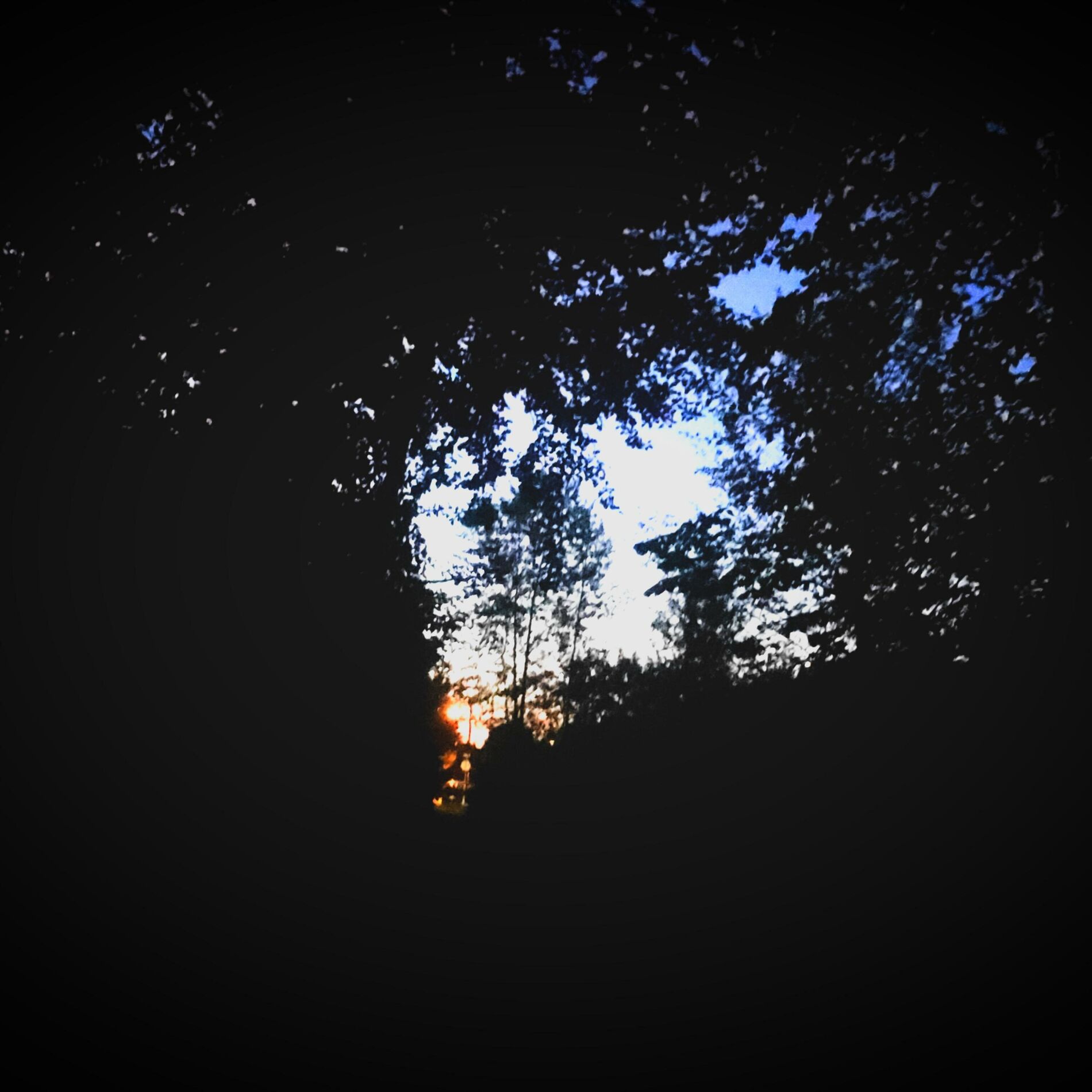 Album cover of downlowchickencapacoustic54