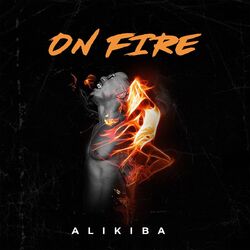 Cover of On Fire