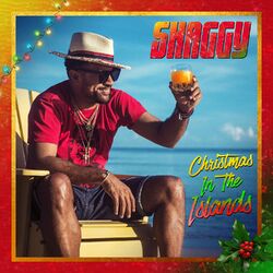 Cover of Christmas in the Islands
