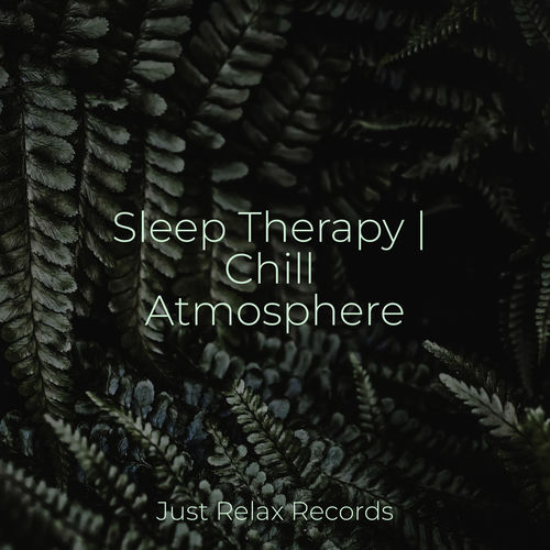 Sleep Therapy | Chill Atmosphere