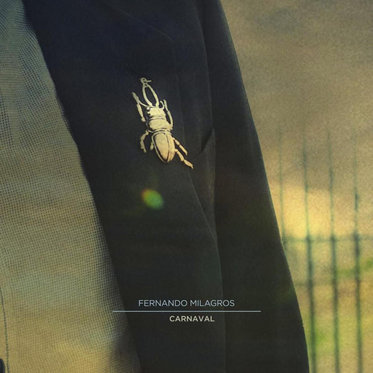 Album cover of Carnaval