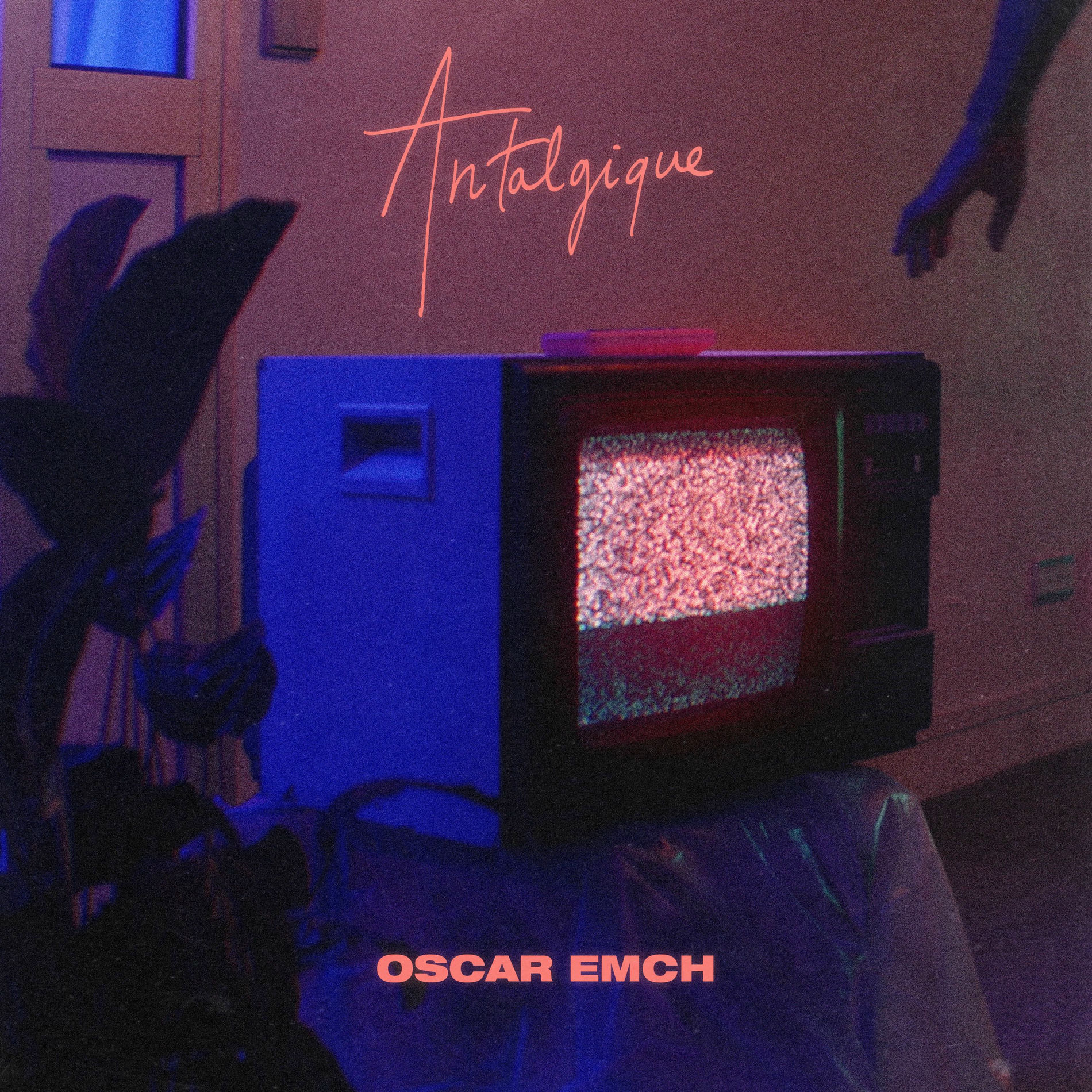 Album cover of Antalgique