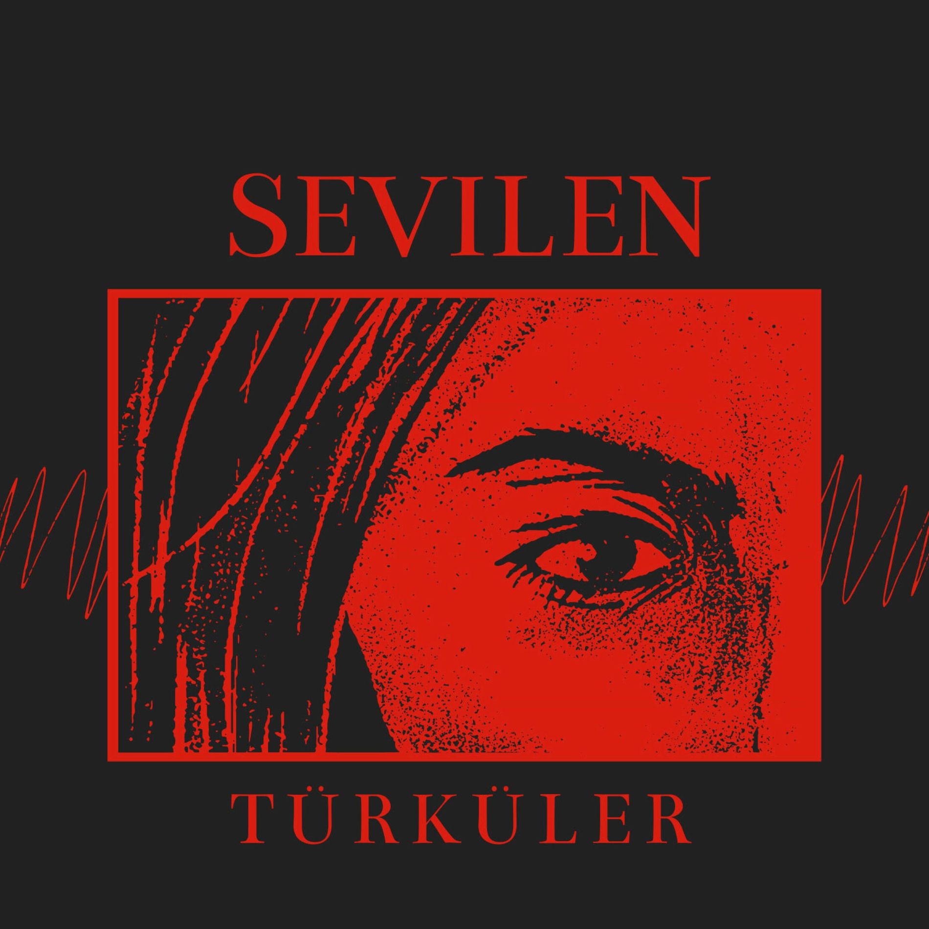 Album cover of Sevilen Türküler