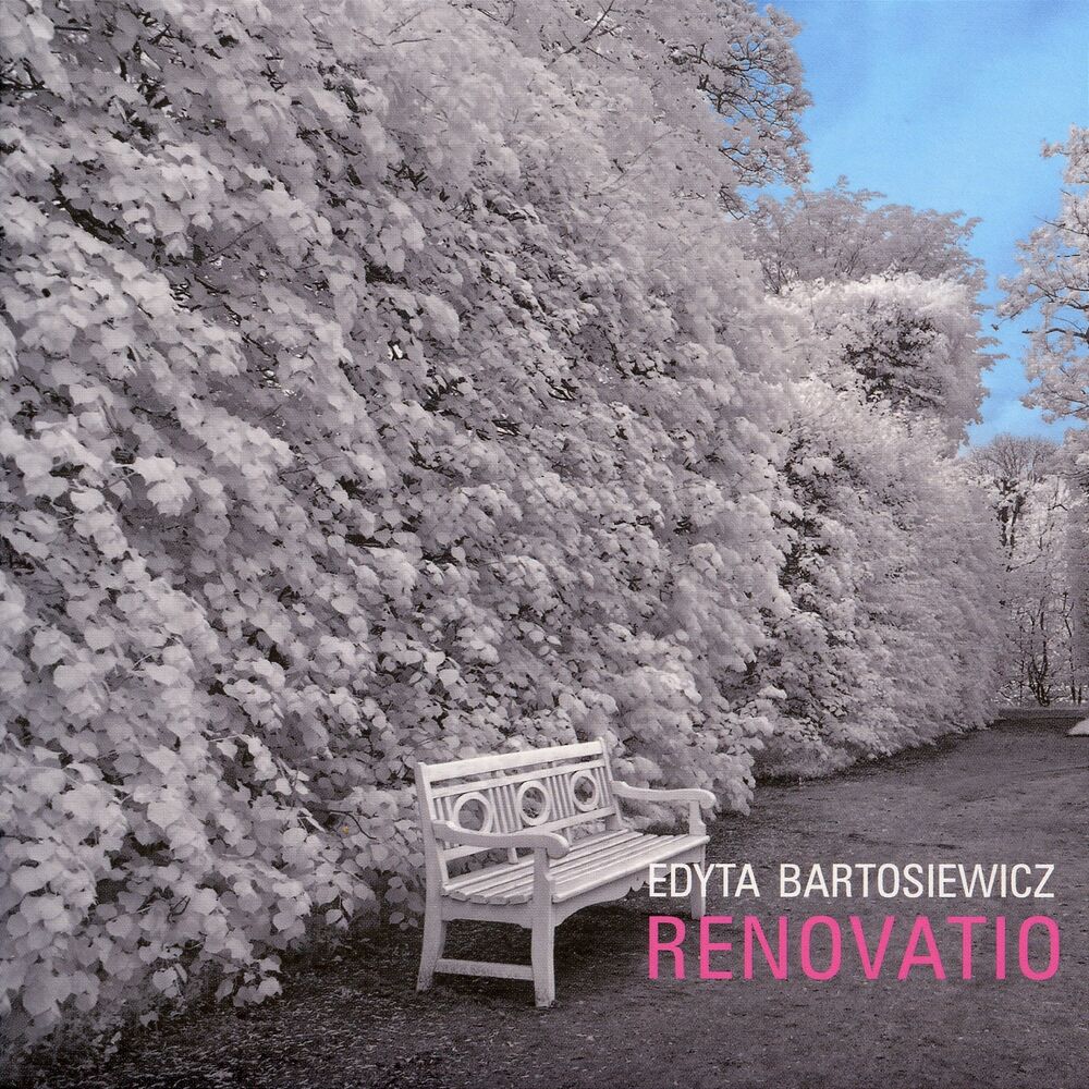 Picture of Renovatio
