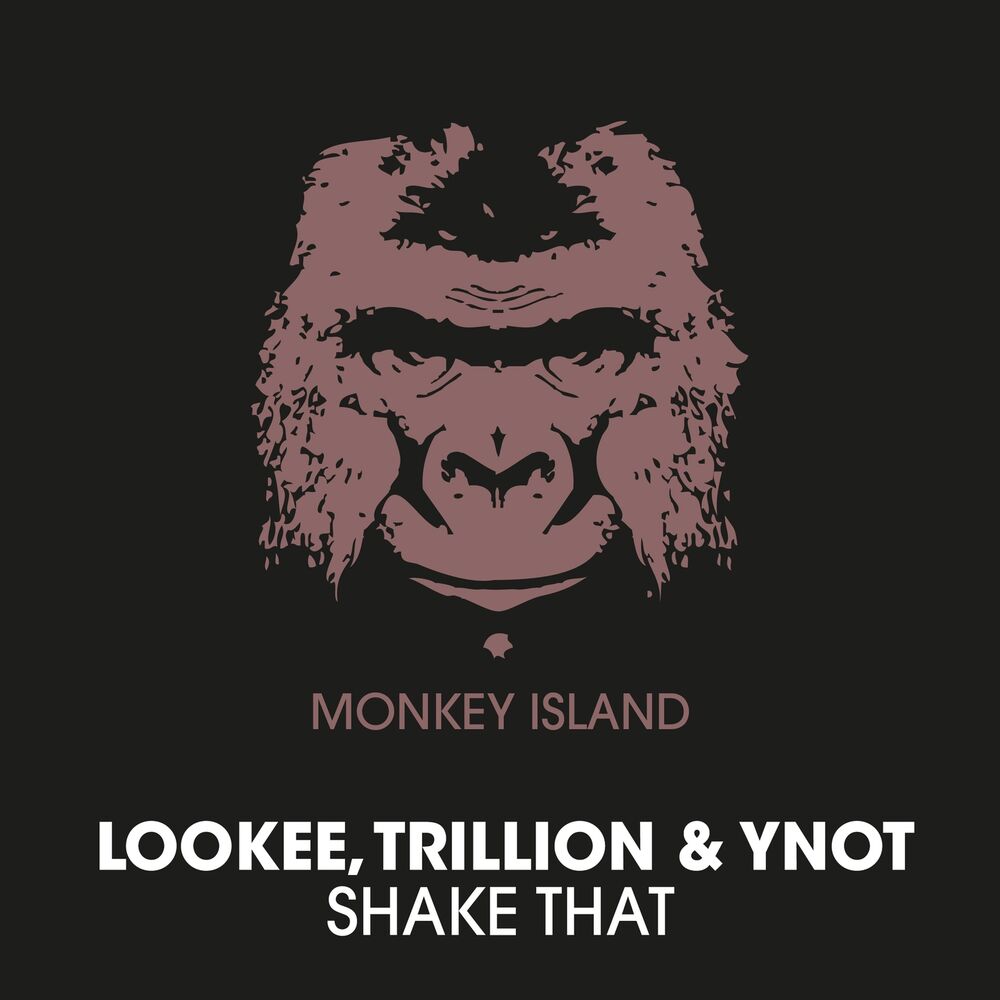 Picture of Shake That
