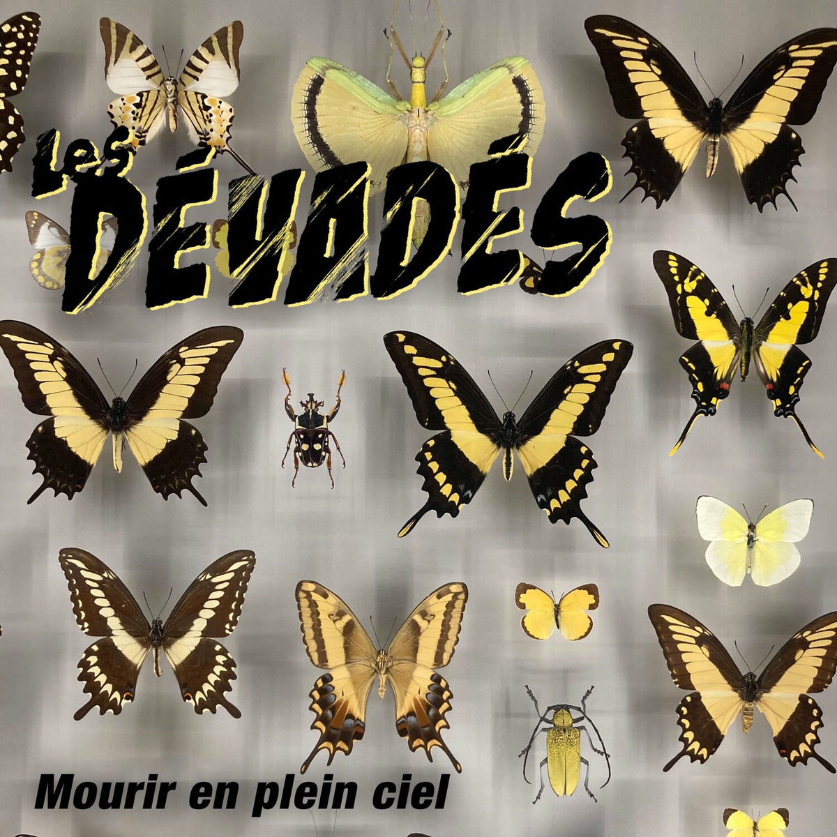Album cover of Mourir en plein ciel