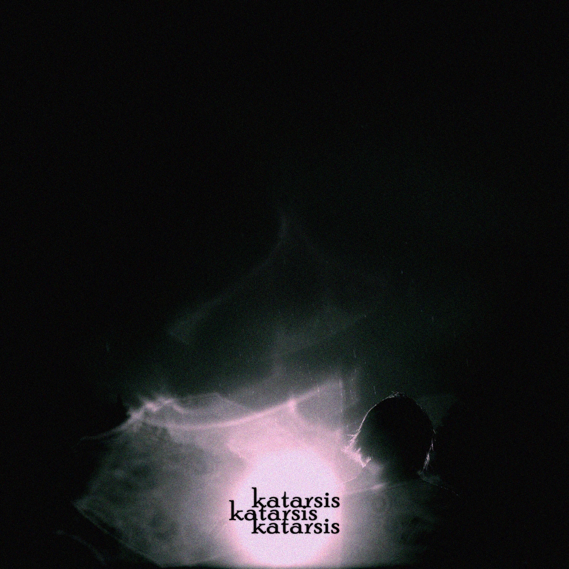 Album cover of Dingo