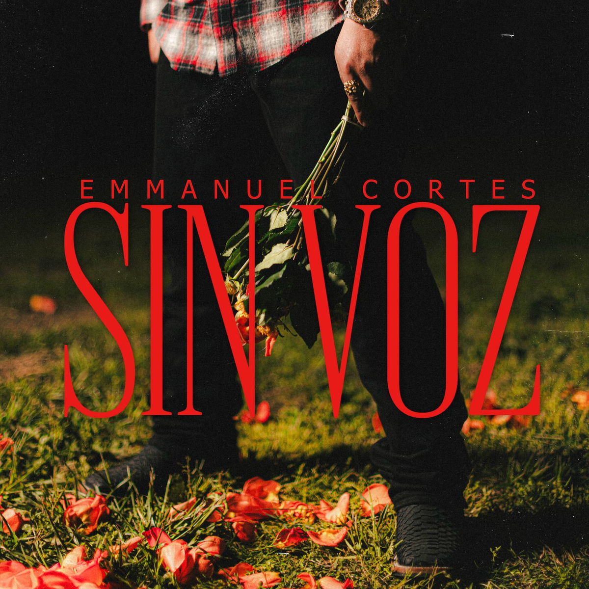 Album cover of Sin Voz