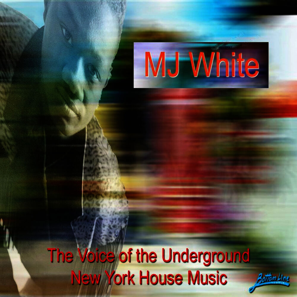 Picture of The Voice of the Underground New York House Music