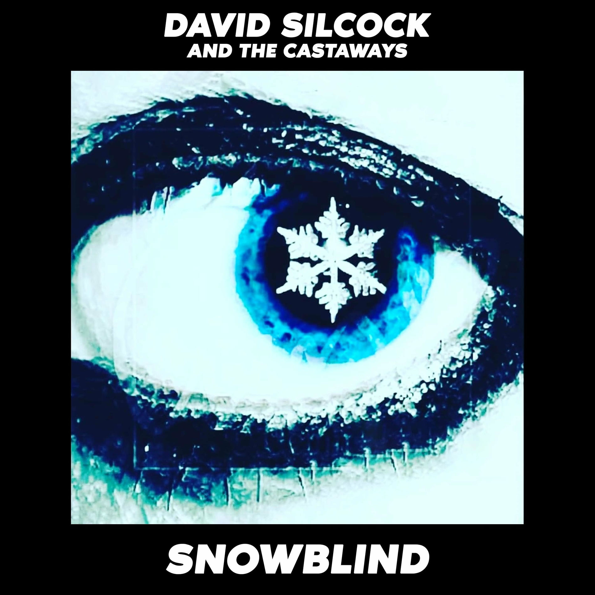 Album cover of Snowblind