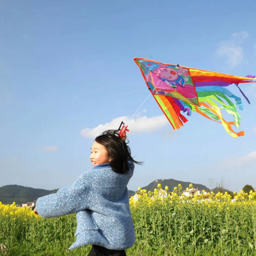 爱上莲花