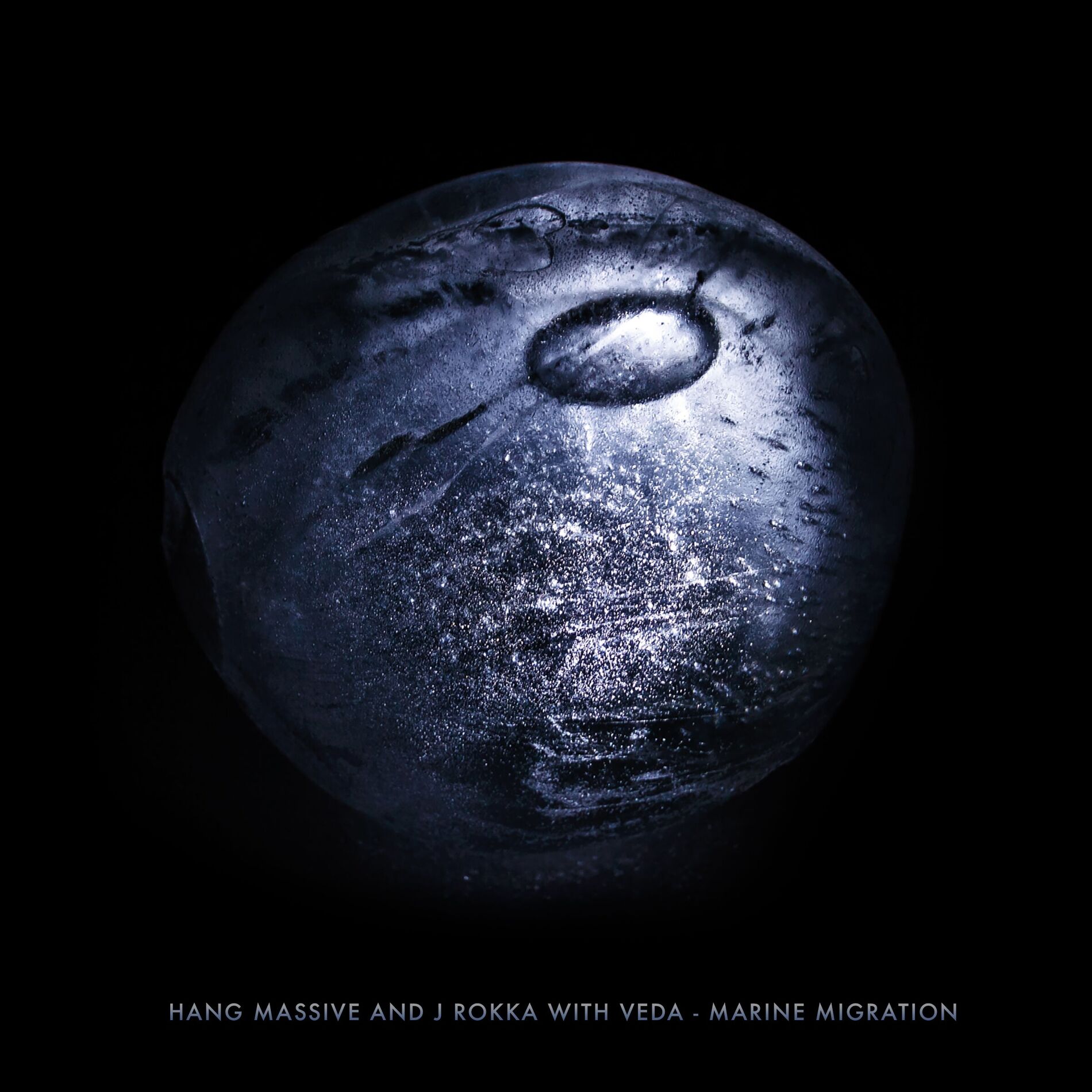 Album cover of Marine Migration