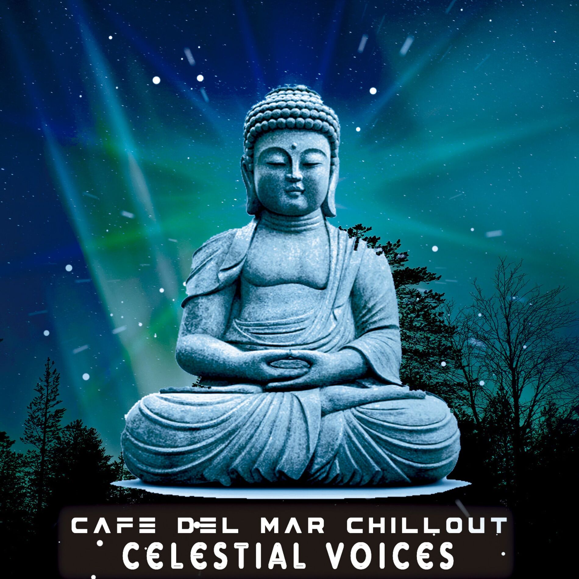 Album cover of Celestial Voices