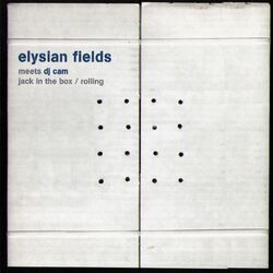 Cover of Elysian Fields meets Dj Cam