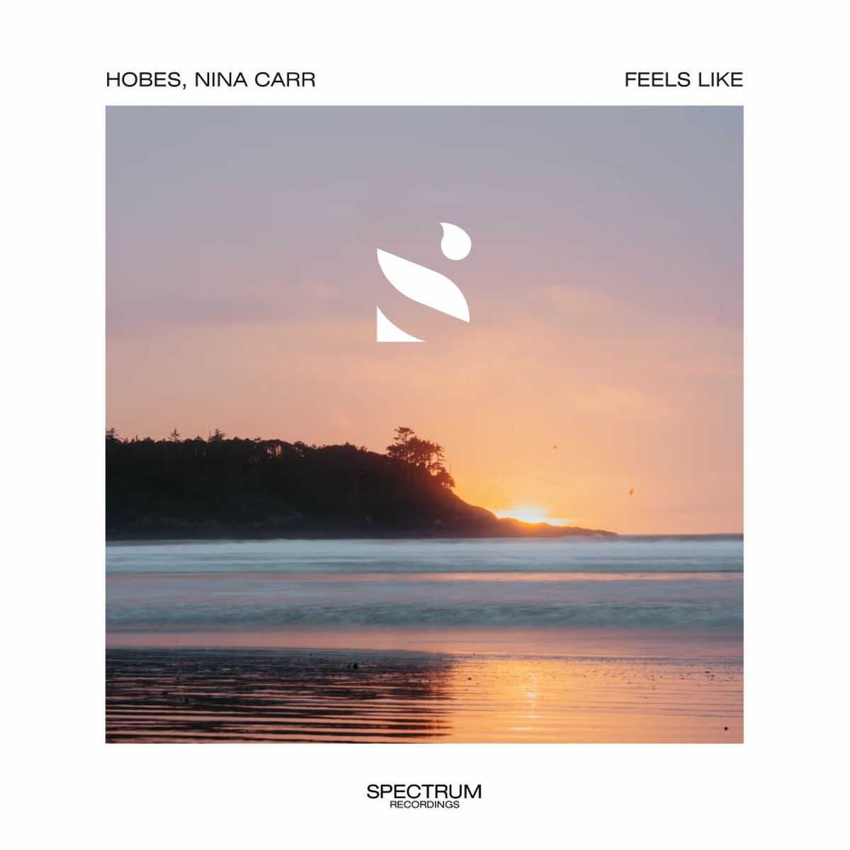 Album cover of Feels Like
