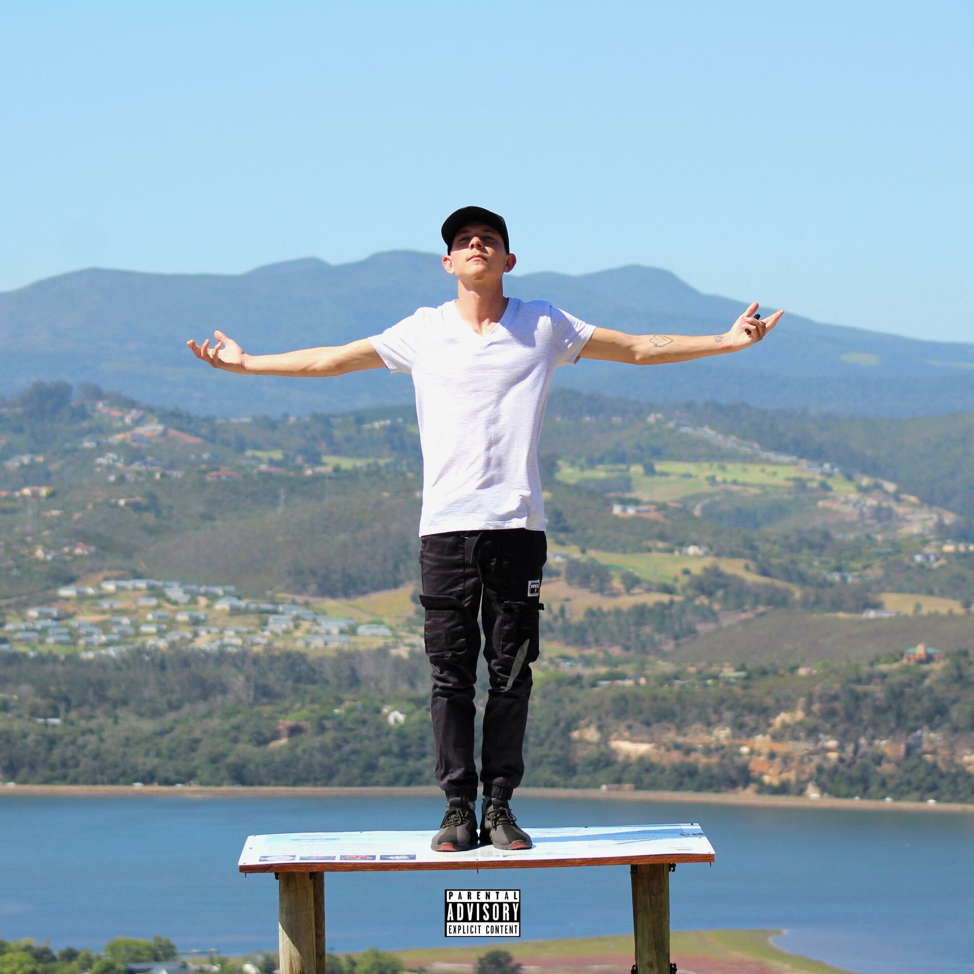 Album cover of L I V E