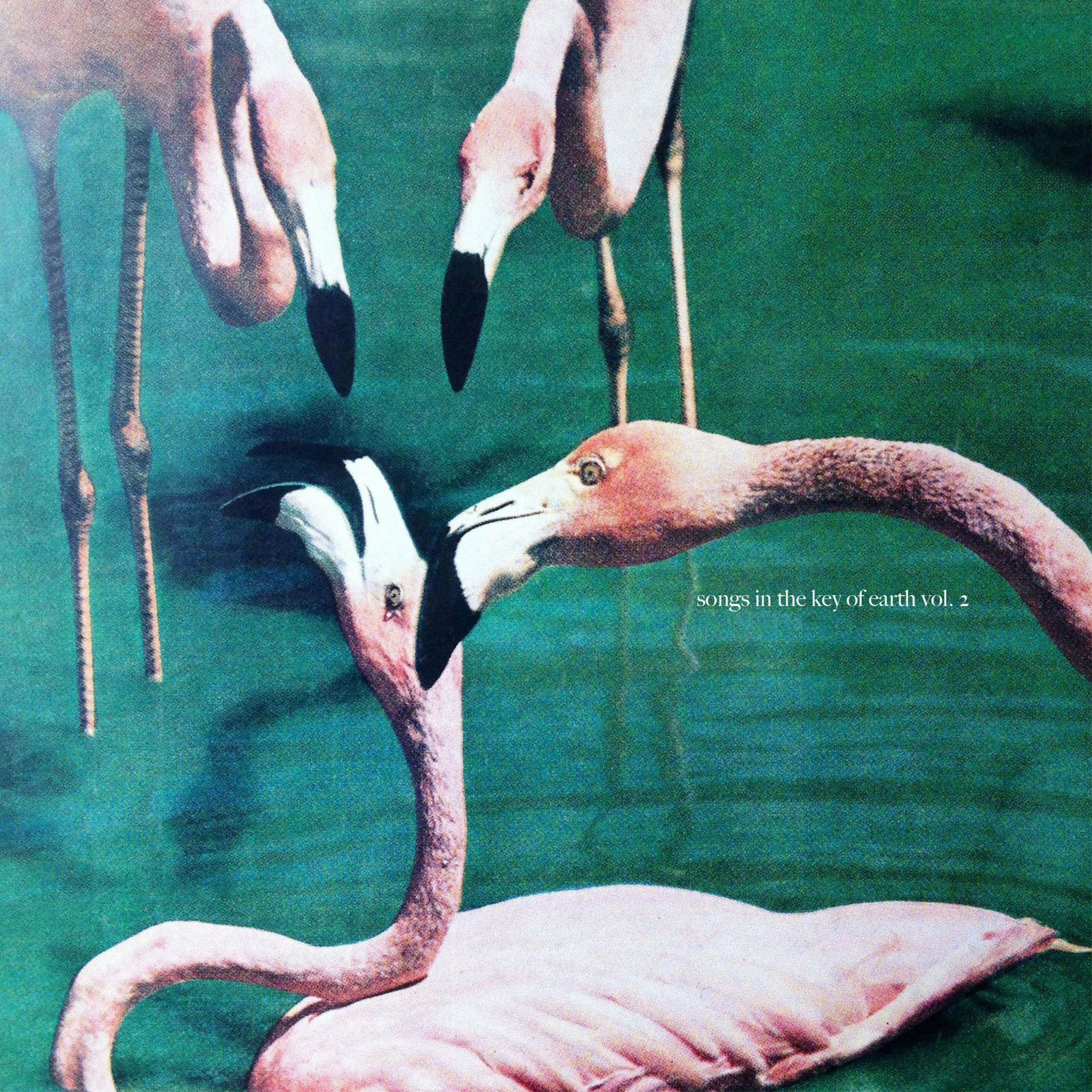 Album cover of Songs in the Key of Earth, Vol. 2 (Reharmonized)