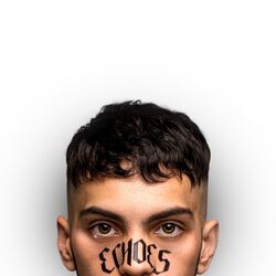 Cover of Echoes