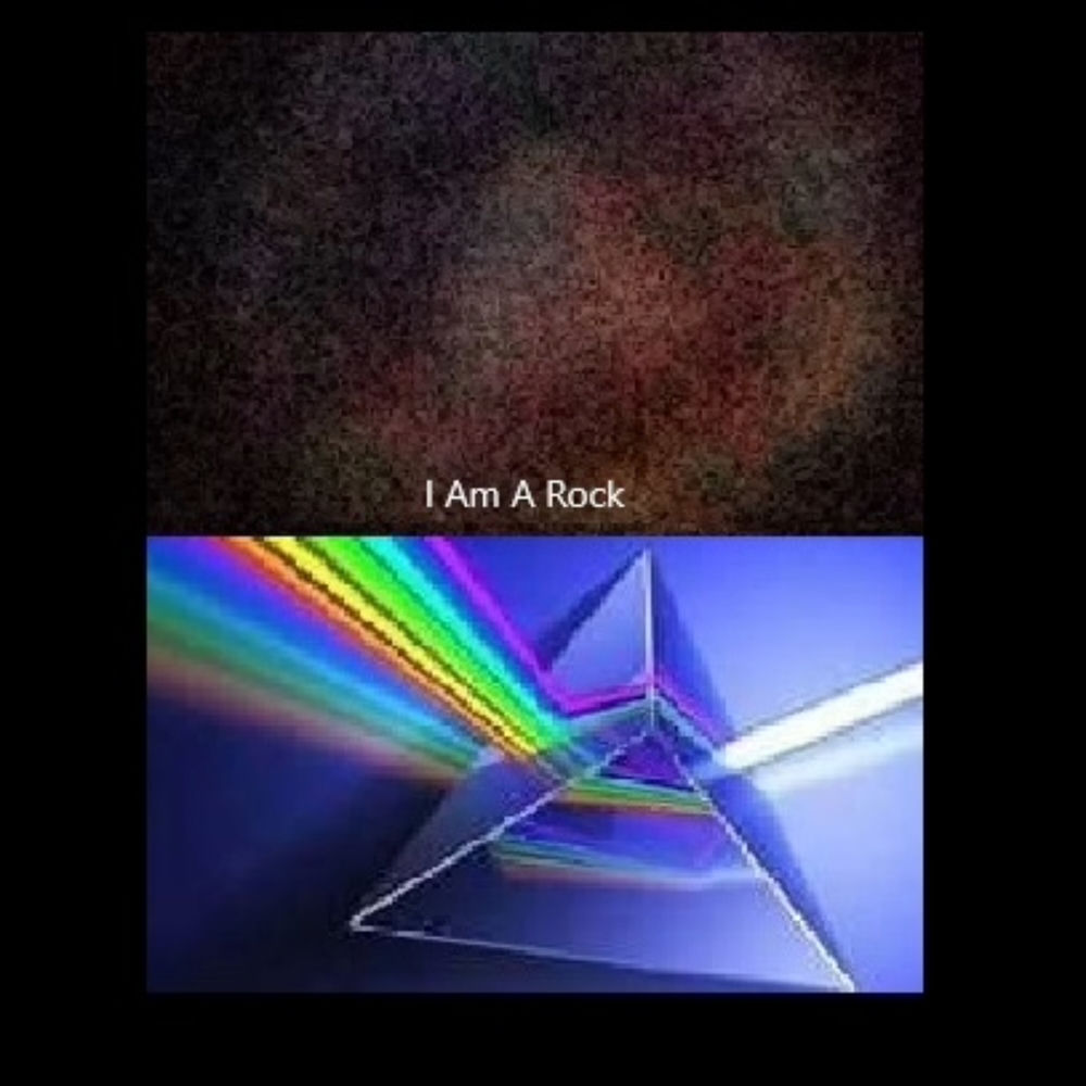 I Am A Rock