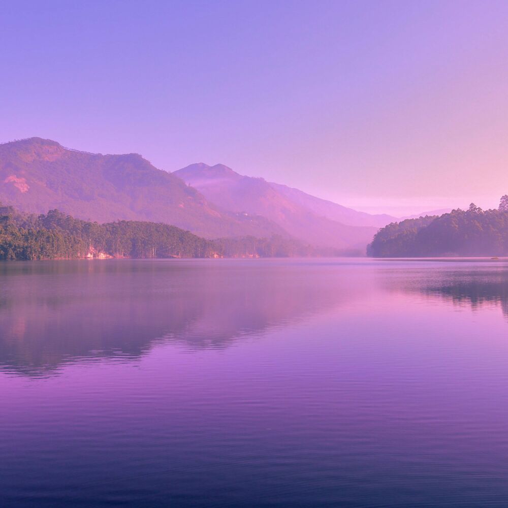 Picture of Music for Stress Relief: Peaceful Pondside Baby Hymn
