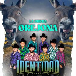 Cover of La Burra Orejona