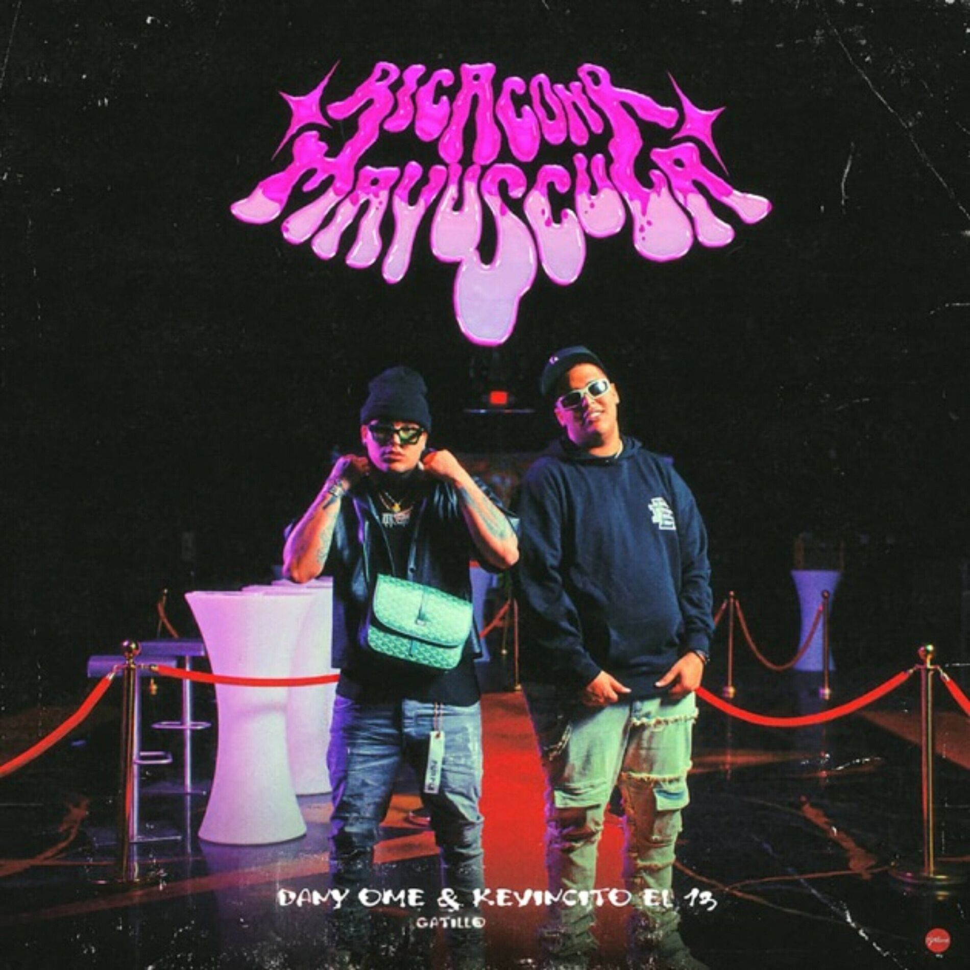 Album cover of Rica Con R Mayúscula