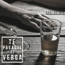 Cover of Te Pasaste de Verga