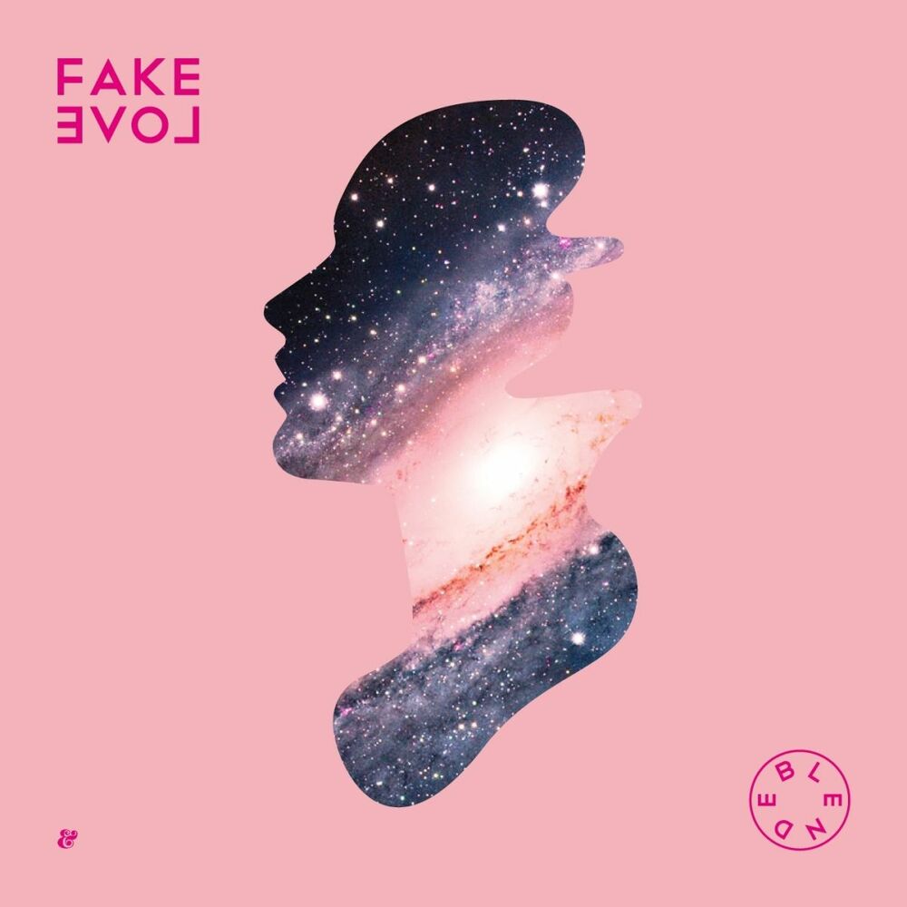 Picture of Fake Love
