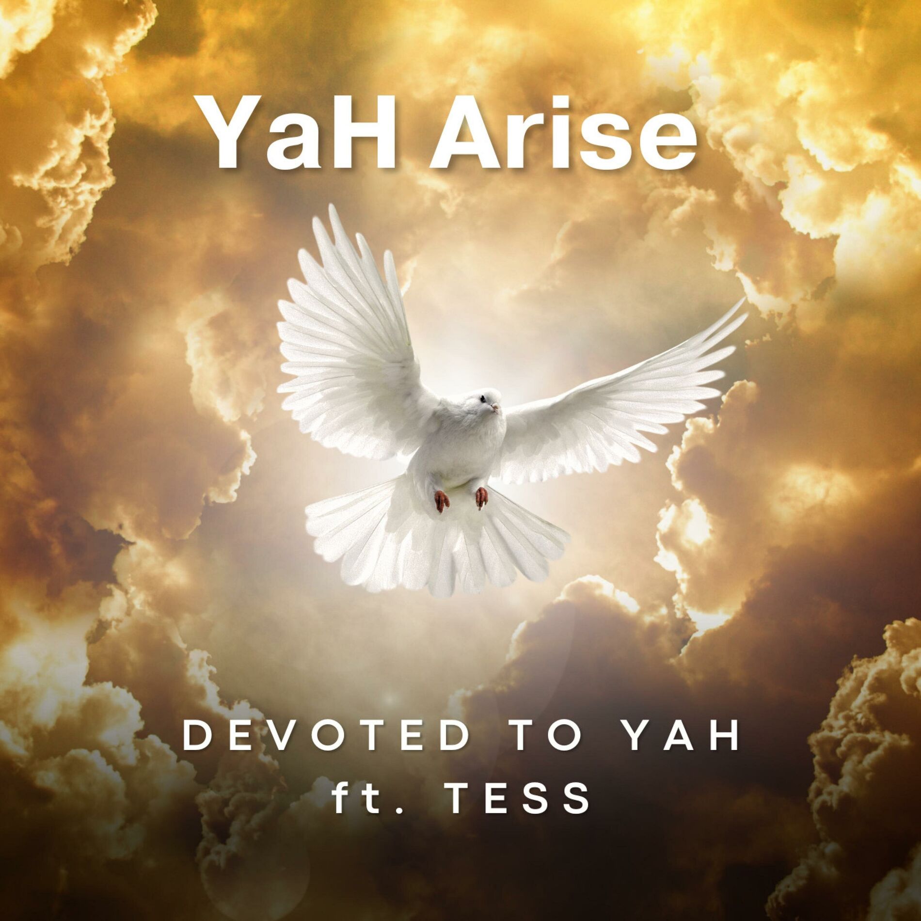 Album cover of YaH Arise (feat. Tess)