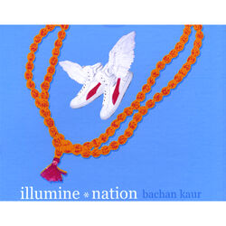 Cover of illumine*nation