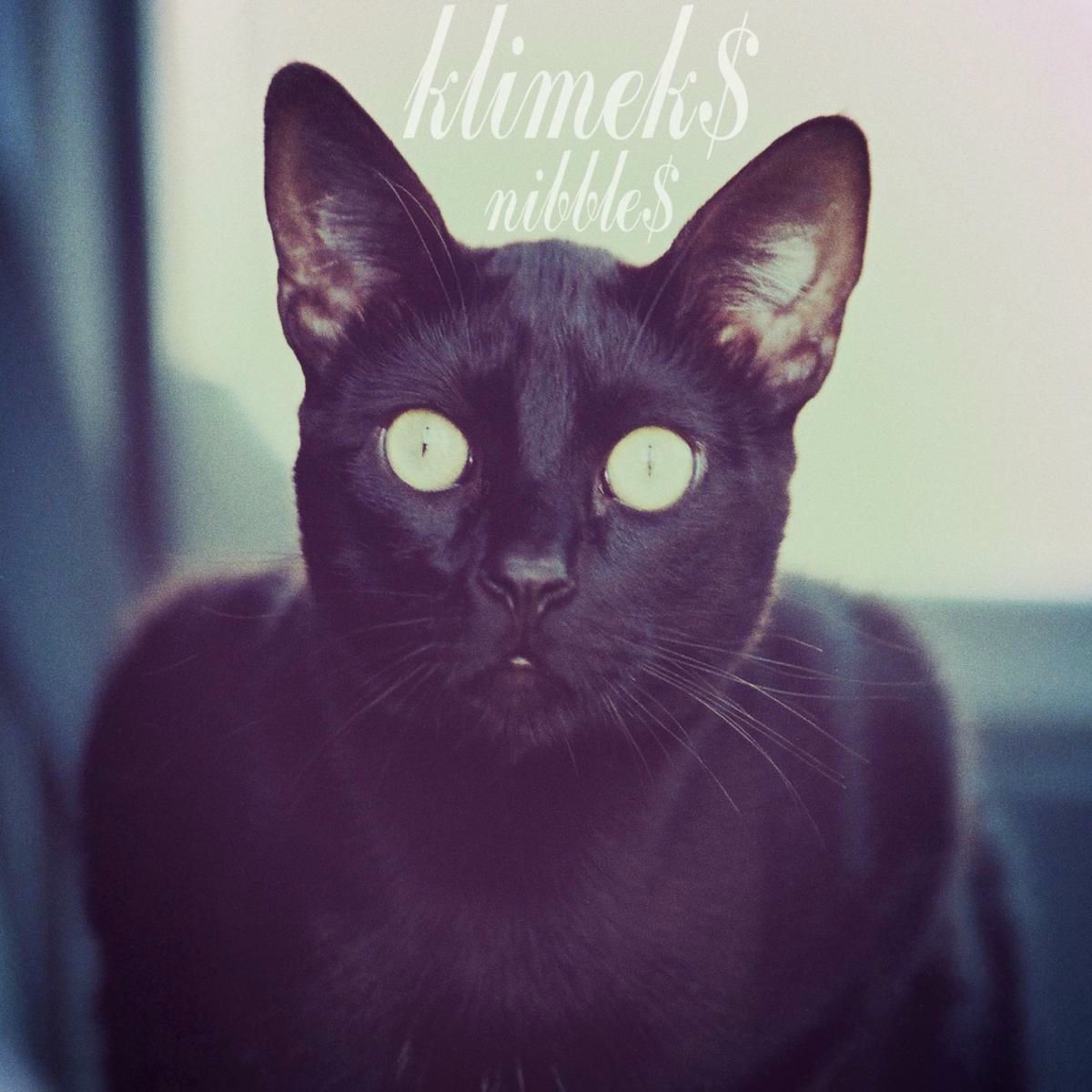 Album cover of Nibbles
