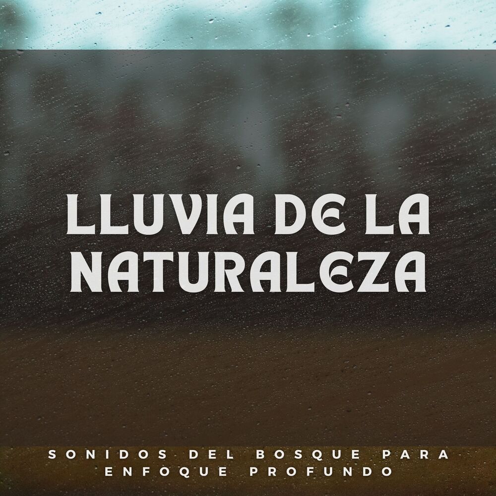 Picture of Lluvia De La Naturaleza: Sonidos Del Bosque Para Enfoque Profundo