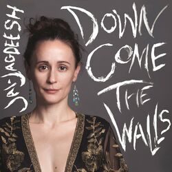Cover of Down Come the Walls