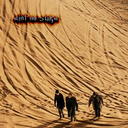 Cover of Ain't No Suka