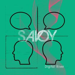 Cover of Digital River