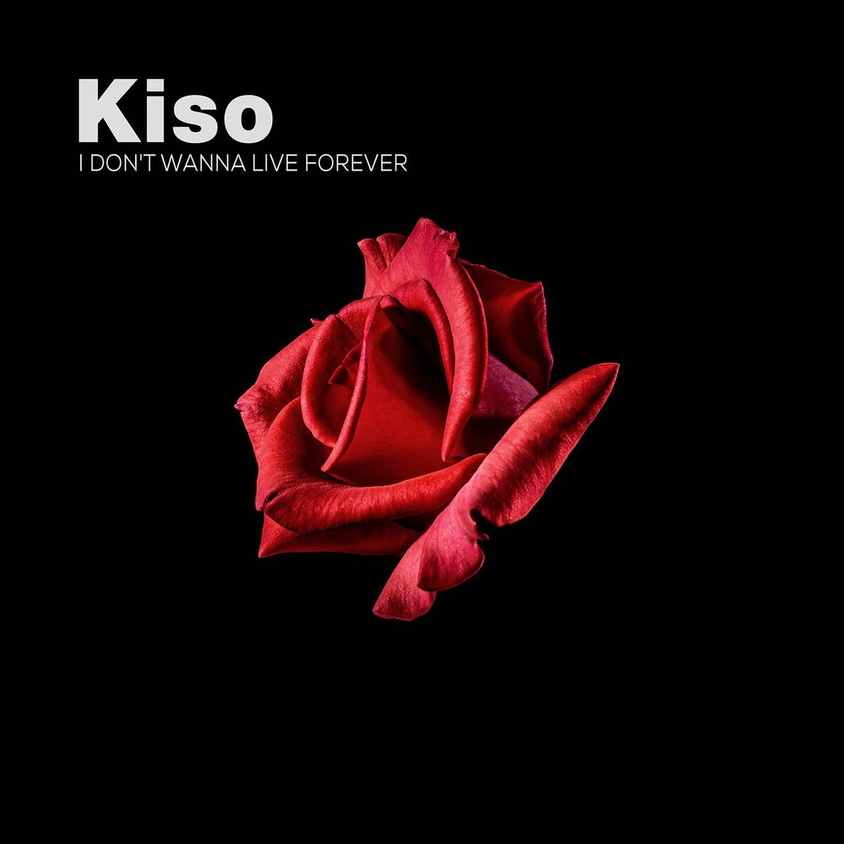 Album cover of I Don't Wanna Live Forever (feat. Kayla Diamond)