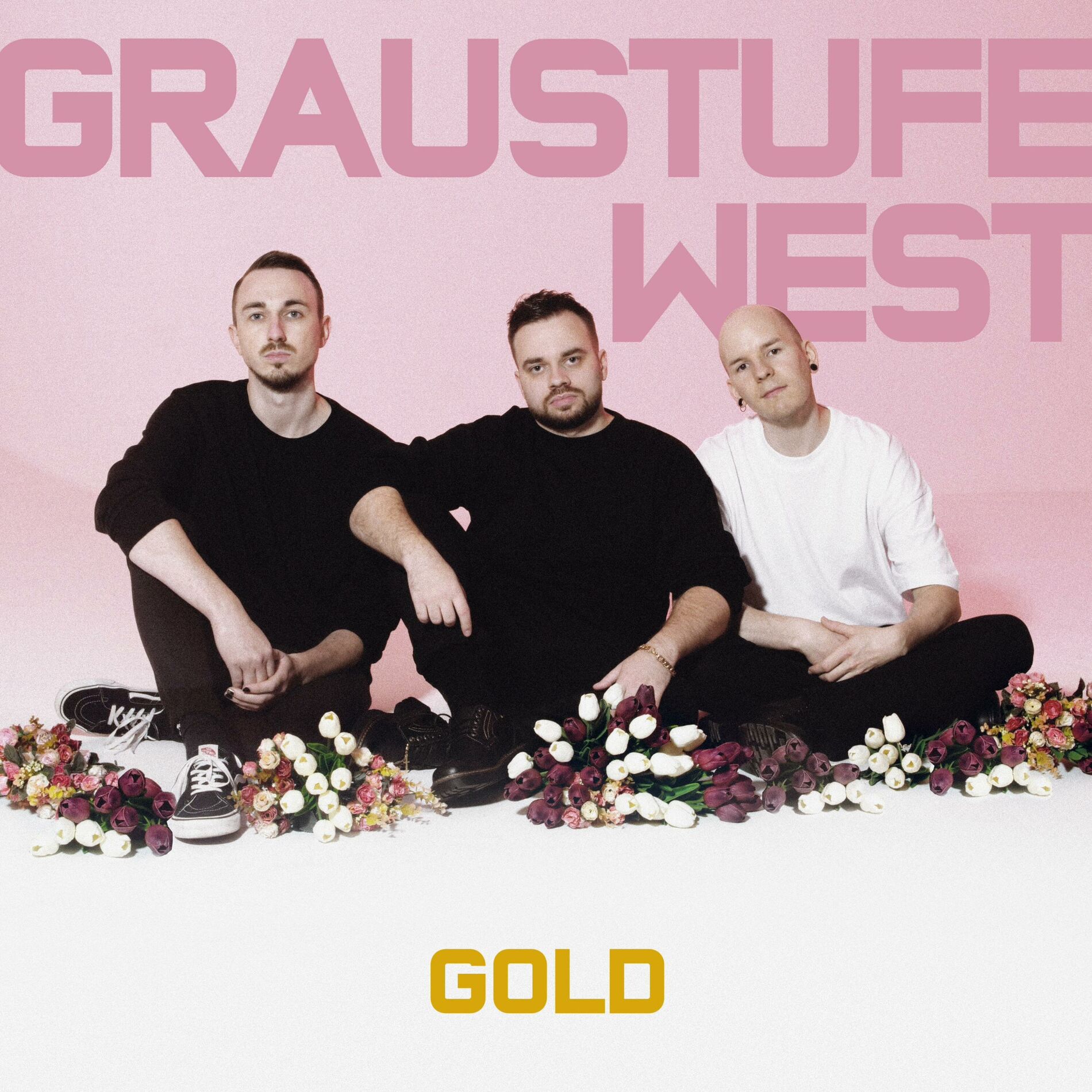 Album cover of Maschine