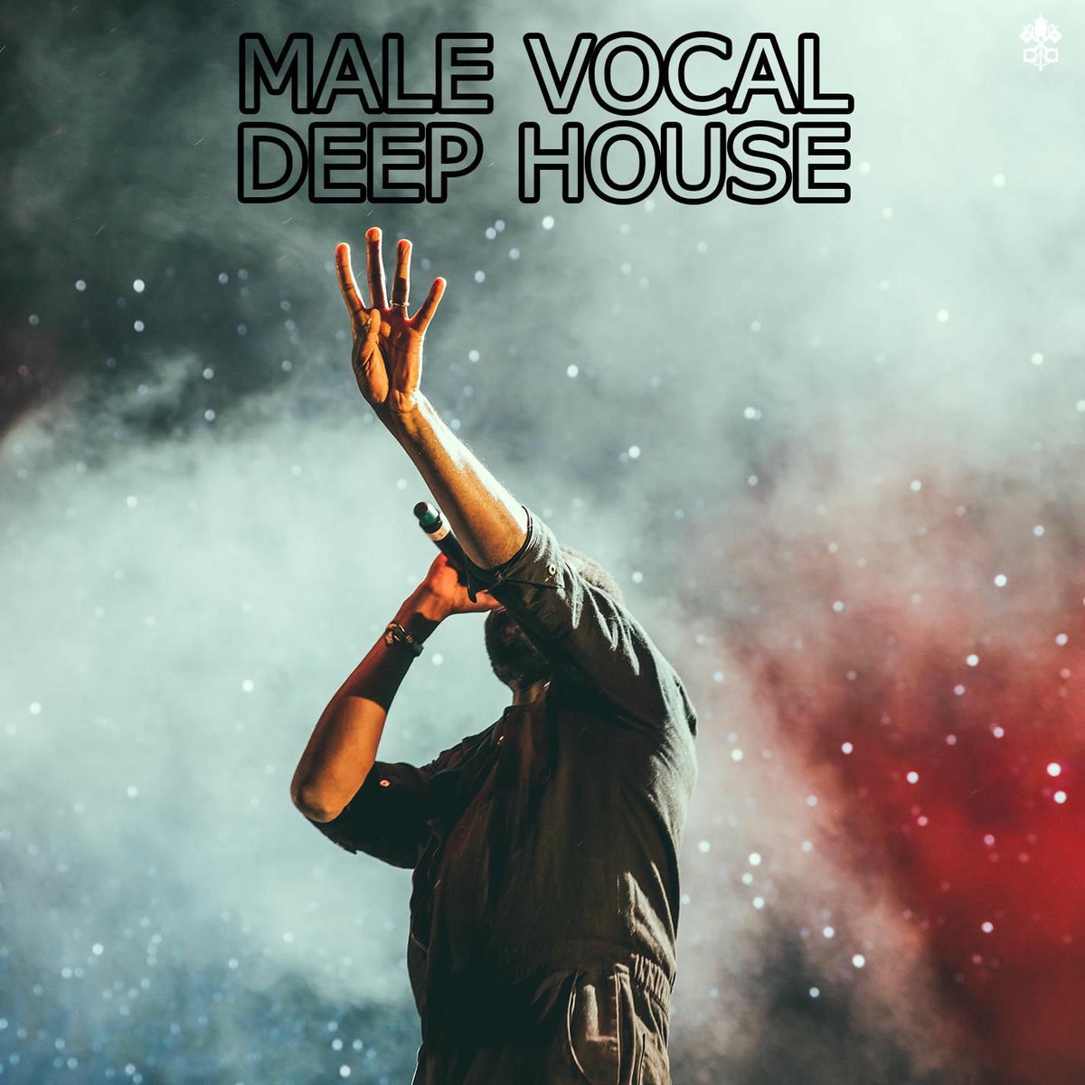 Album cover of Male Vocal Deep House