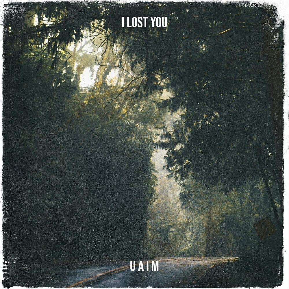 Picture of I Lost You