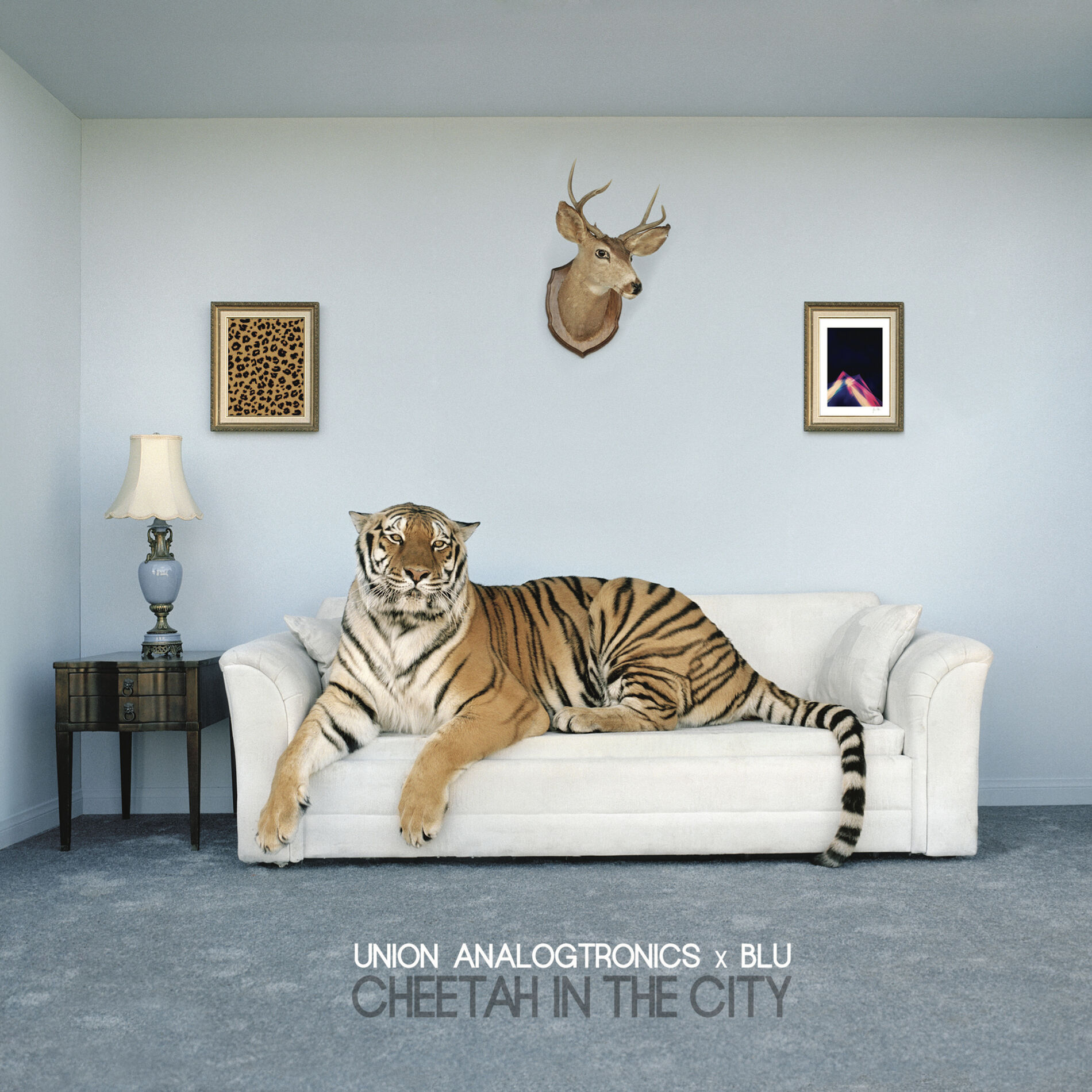 Album cover of Cheetah In The City