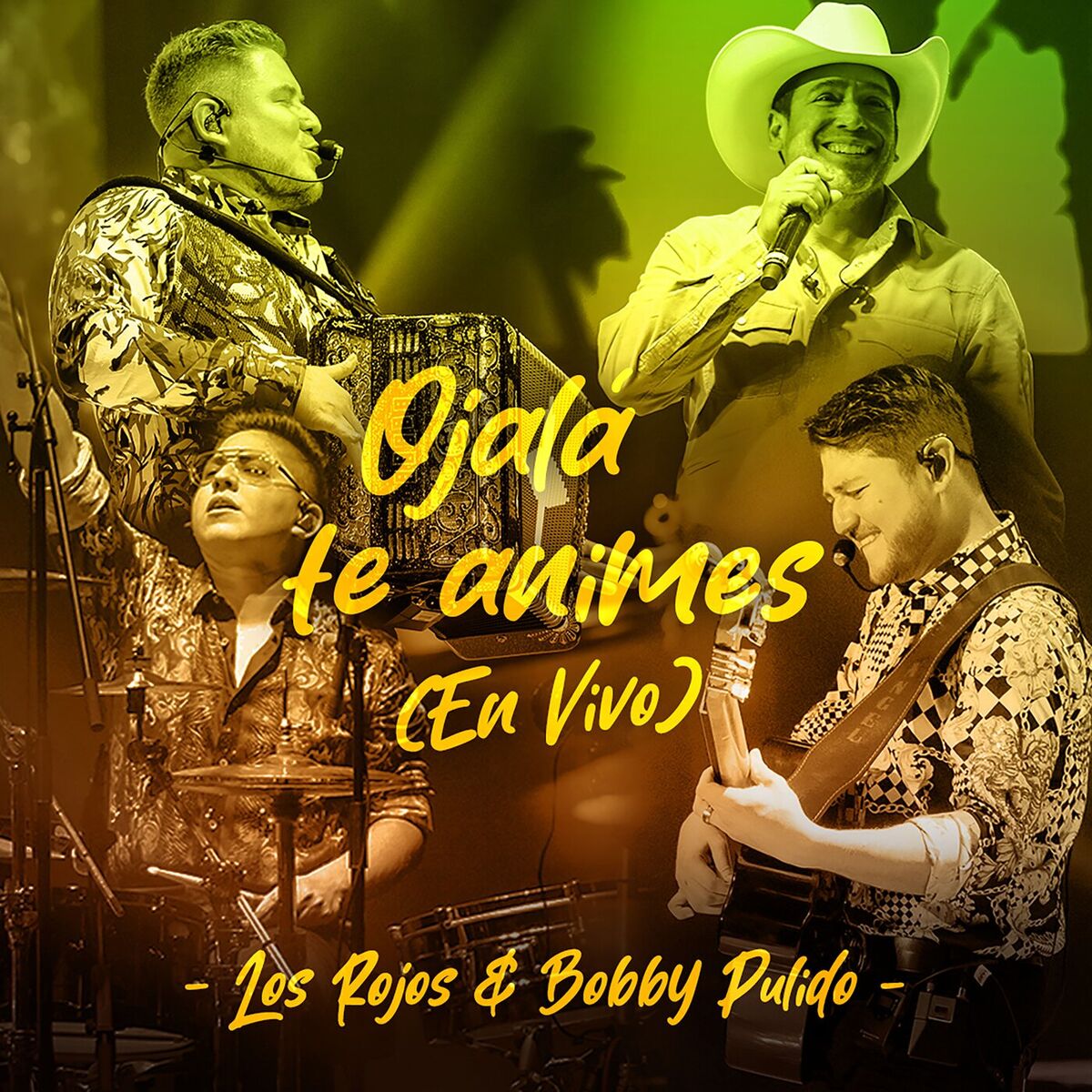 Album cover of Ojalá Te Animes