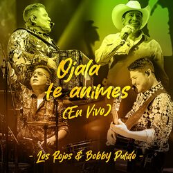 Cover of Ojalá Te Animes (En Vivo)