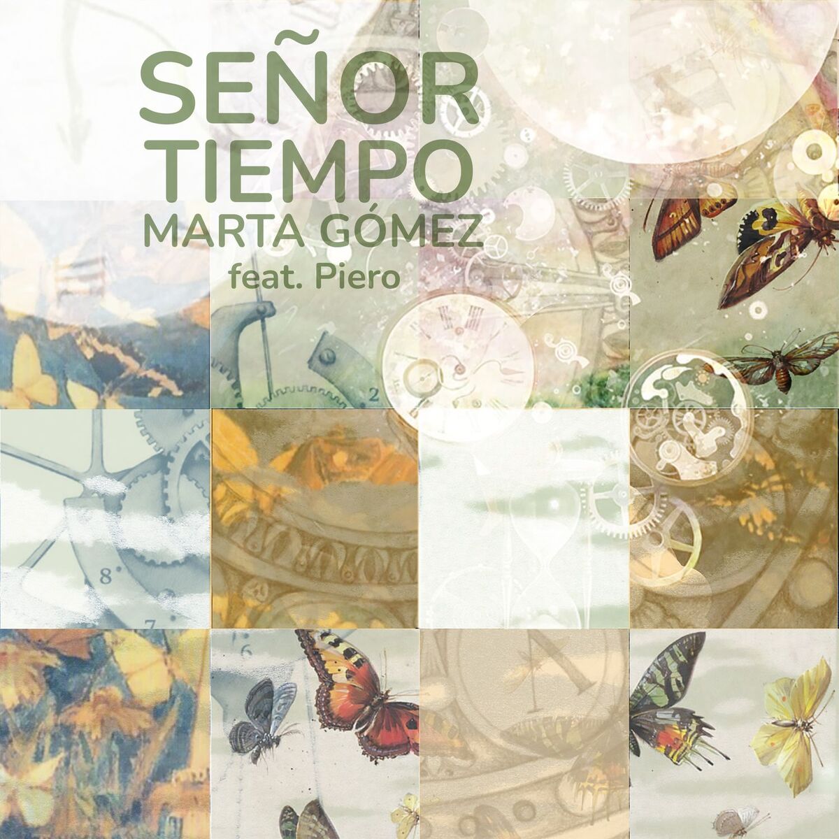 Album cover of Señor Tiempo