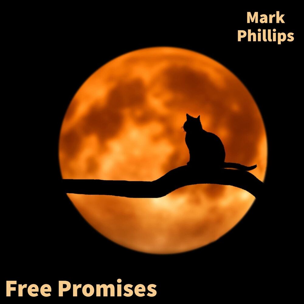 Picture of Free Promises