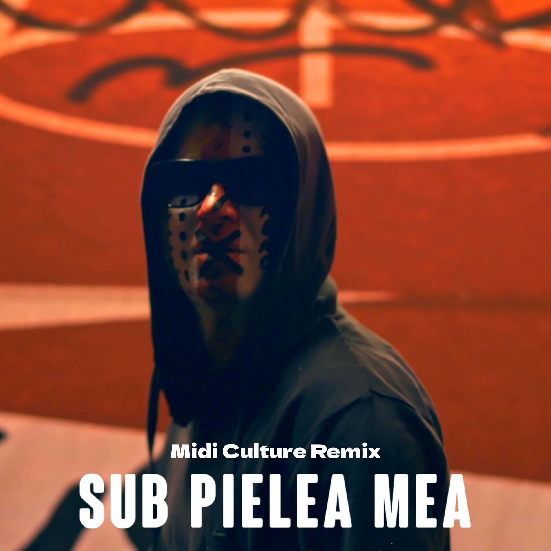 Album cover of Sub pielea mea