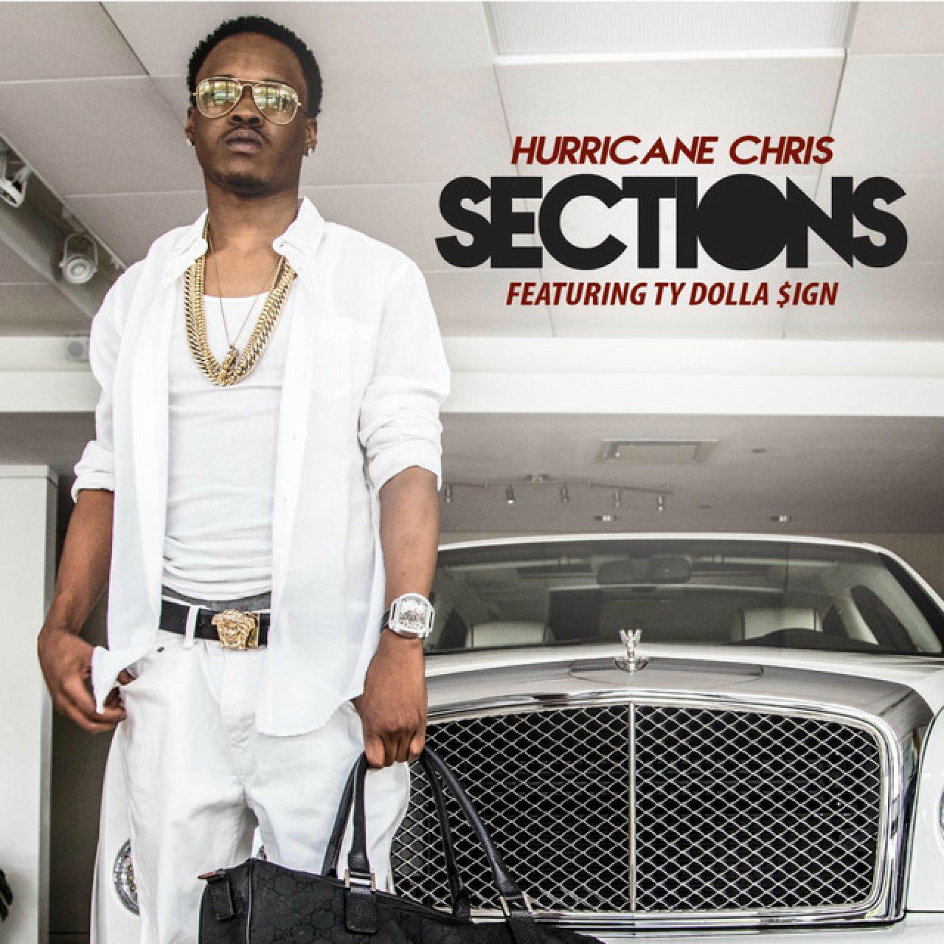 Album cover of Sections