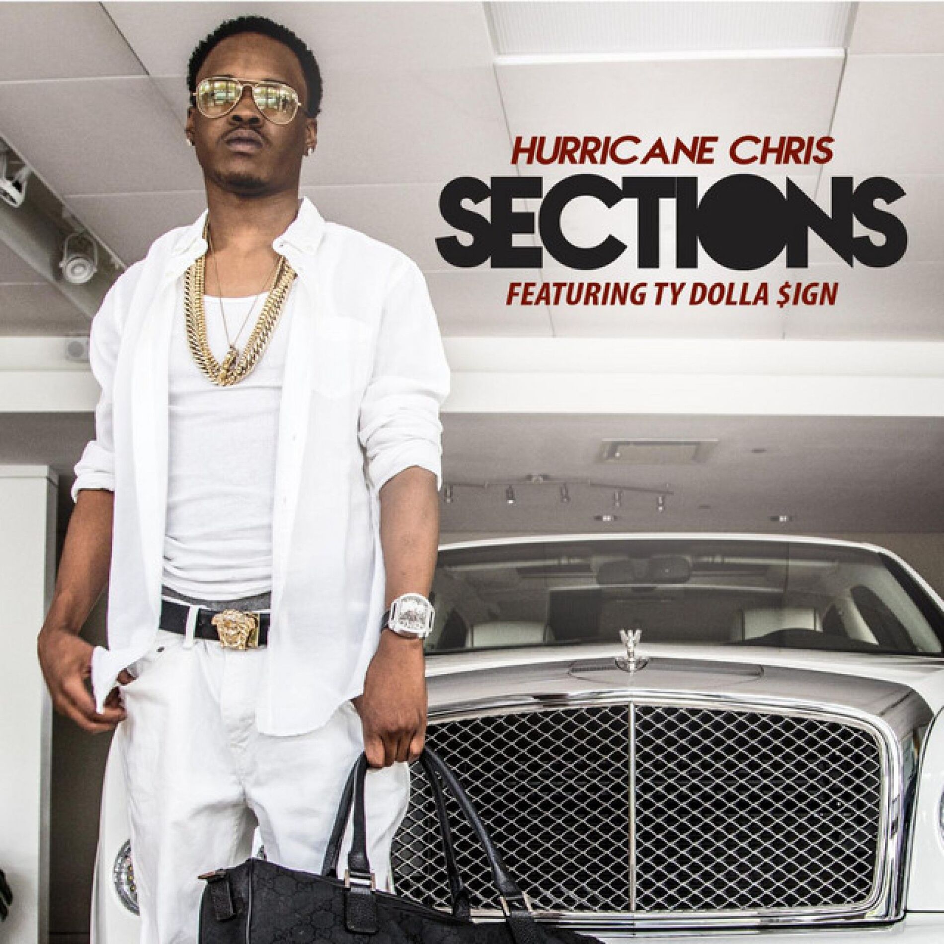 Album cover of Sections