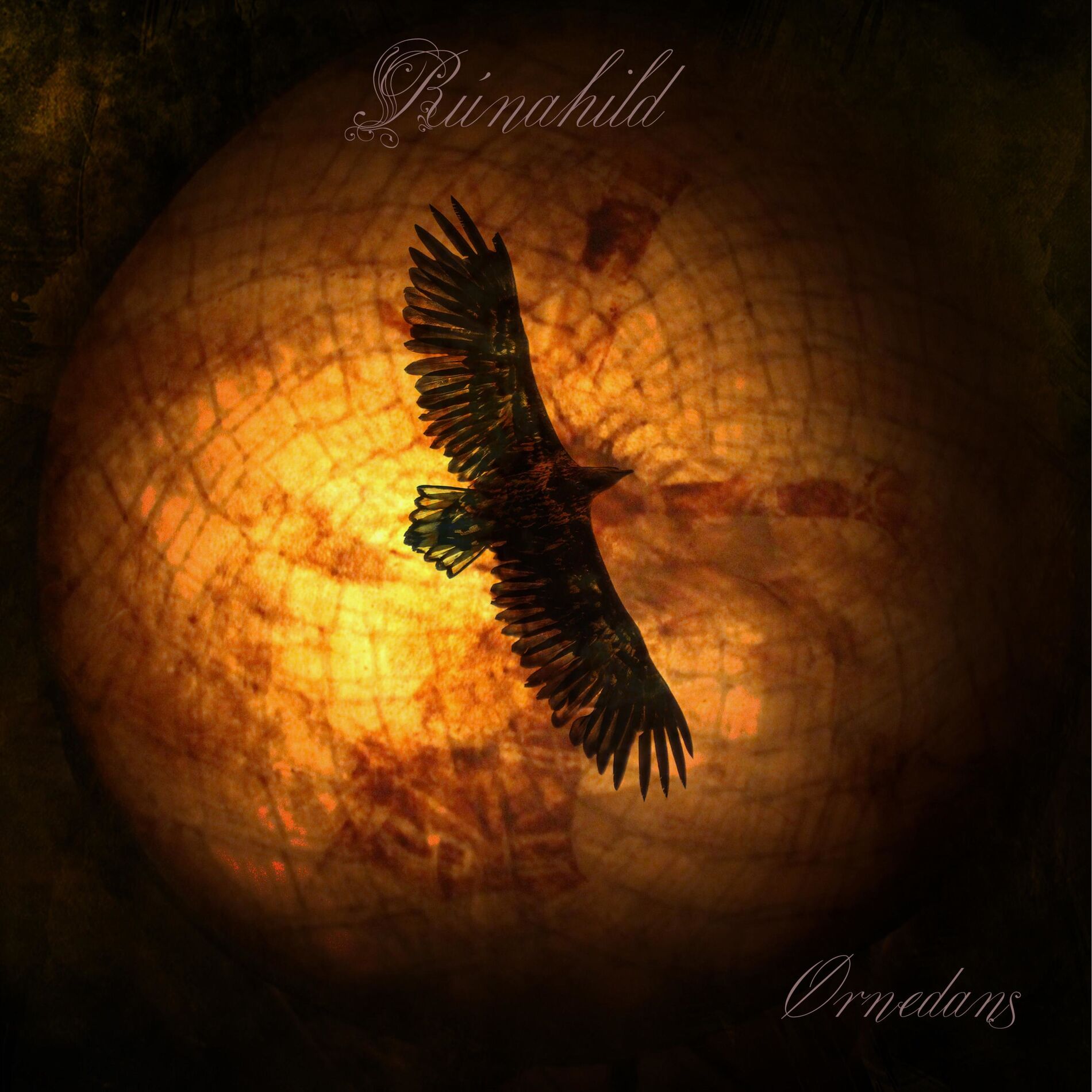 Album cover of Ørnedans II